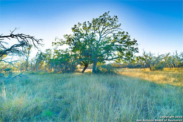 Image 14 of 18 For 00 Doss Spring Creek Rd.