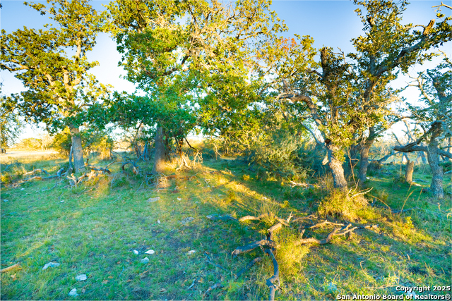 Image 17 of 18 For 00 Doss Spring Creek Rd.