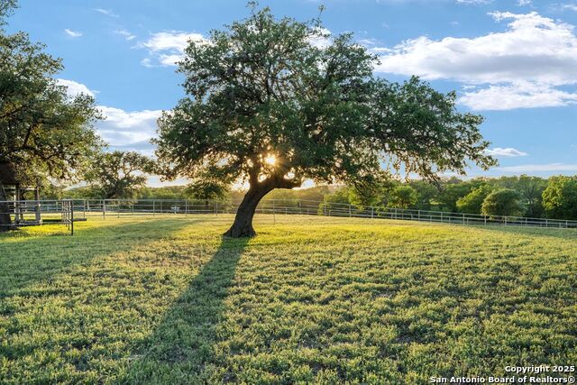 Image 44 of 50 For 25 Zoeller