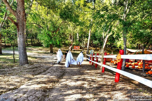 Listing photo id 10 for 1877 County Road 4713