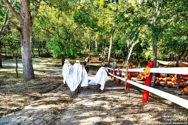 Listing photo id 11 for 1877 County Road 4713