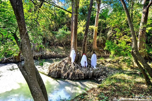 Listing photo id 29 for 1877 County Road 4713