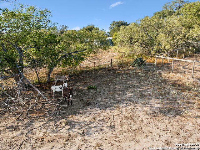 Image 104 of 142 For 7970 Us Highway 87