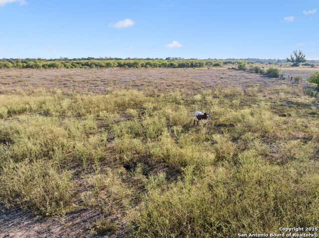 Image 105 of 142 For 7970 Us Highway 87