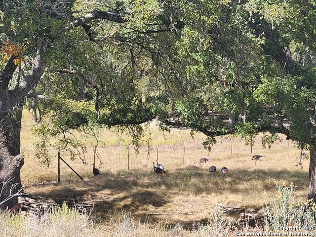 Image 2 of 22 For 800 Schumann Rd