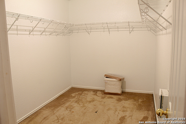 Image 16 of 19 For 1227 Autumn Moon