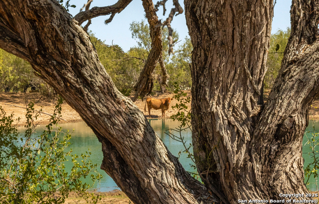 Image 37 of 50 For 5750 Smith Rd