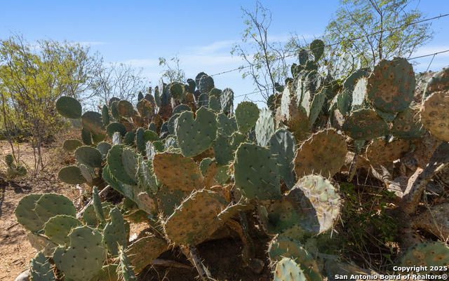 Image 41 of 50 For 5750 Smith Rd