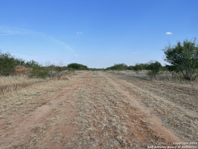 Listing photo id 11 for Tbd Fm 462 S