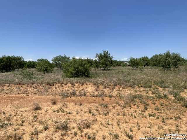 Listing photo id 12 for Tbd Fm 462 S