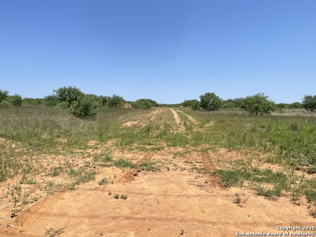 Listing photo id 13 for Tbd Fm 462 S