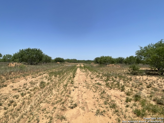 Listing photo id 2 for Tbd Fm 462 S