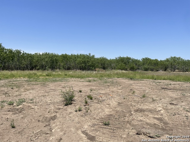 Listing photo id 3 for Tbd Fm 462 S