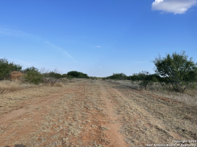 Listing photo id 4 for Tbd Fm 462 S