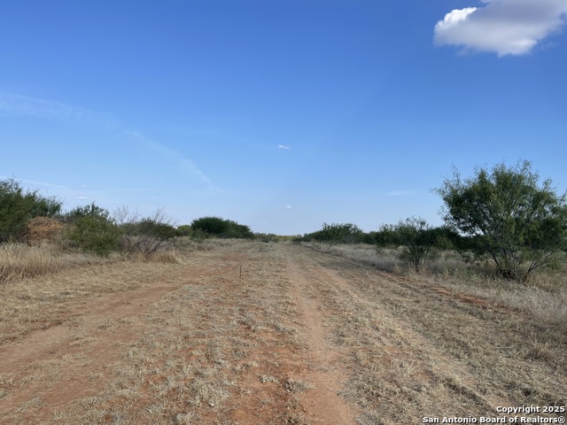 Listing photo id 6 for Tbd Fm 462 S