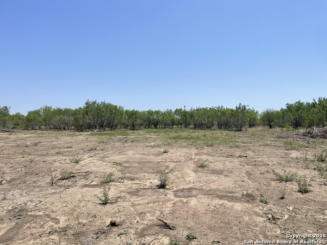 Listing photo id 7 for Tbd Fm 462 S