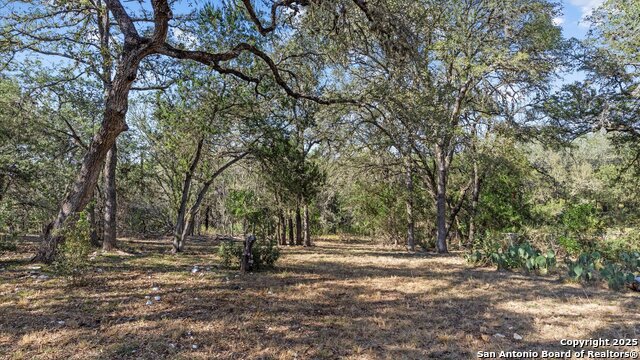 Image 10 of 18 For 8455 Park Lane