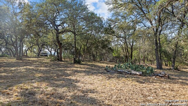 Image 5 of 18 For 8455 Park Lane