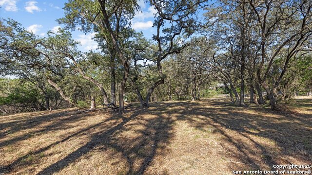 Image 6 of 18 For 8455 Park Lane