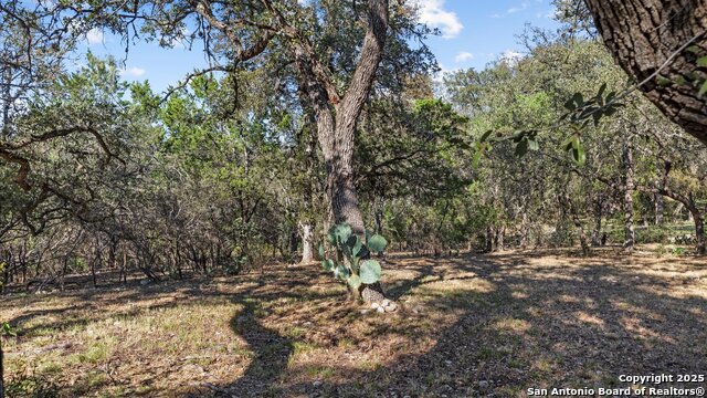 Image 8 of 18 For 8455 Park Lane