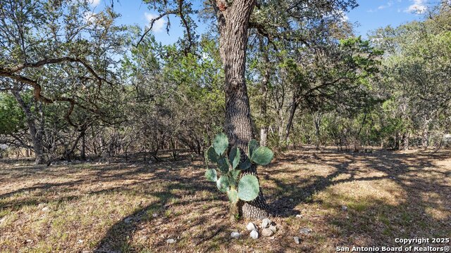 Image 9 of 18 For 8455 Park Lane