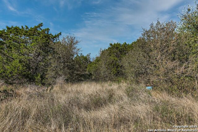 Details for Lot 229 Cr 2748, Mico, TX 78056