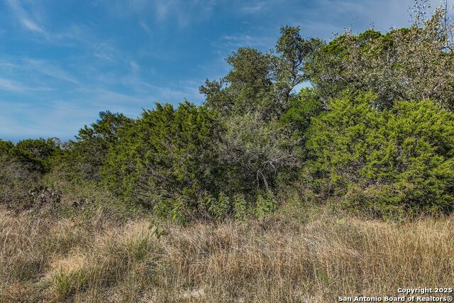 Image 10 of 11 For Lot 229 Cr 2748