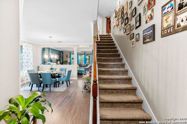 Image 5 of 48 For 5115 Escudero