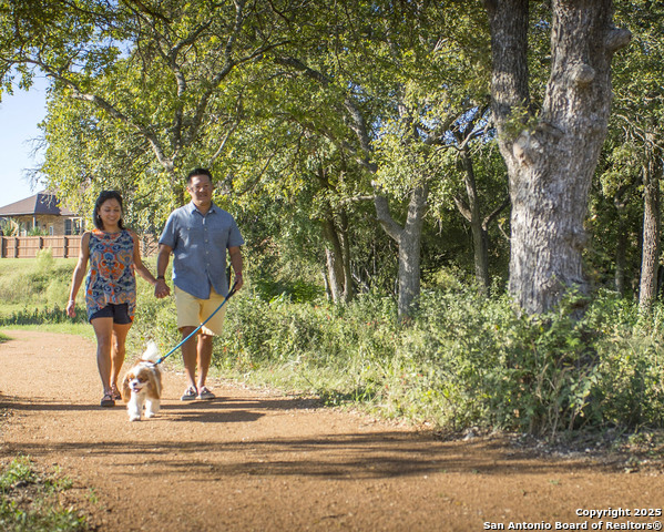 Listing photo id 20 for 12612 Cotorra Springs