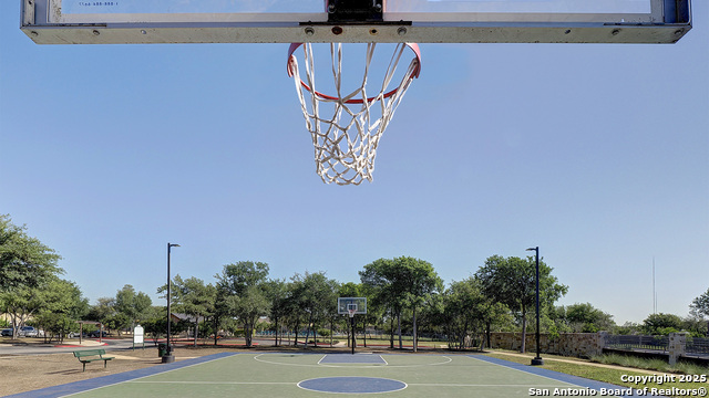 Listing photo id 9 for 12619 Cotorra Springs