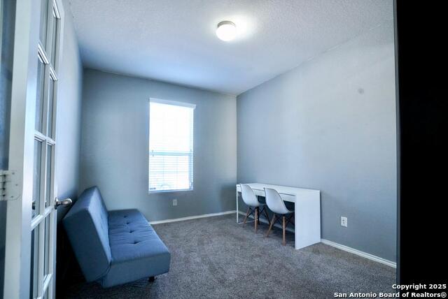 Image 11 of 23 For 3906 Bent Grass