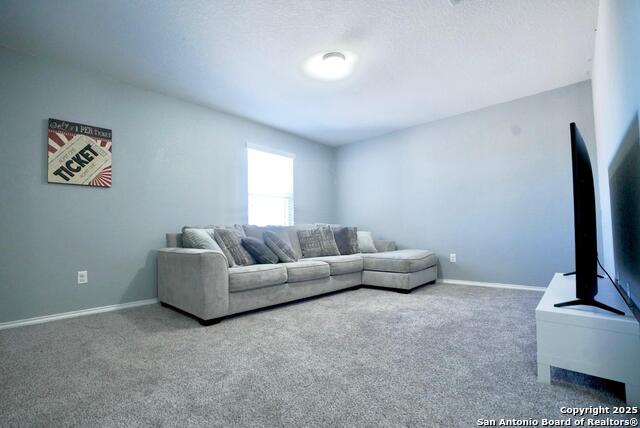 Image 13 of 23 For 3906 Bent Grass