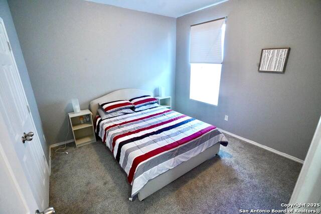 Image 18 of 23 For 3906 Bent Grass