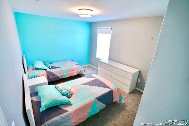 Image 21 of 23 For 3906 Bent Grass