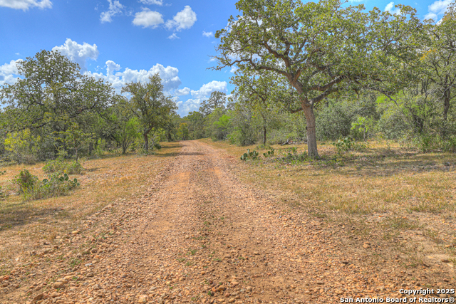 Listing photo id 17 for 2354 Fm 2438