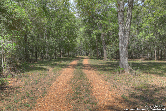 Listing photo id 23 for 2354 Fm 2438