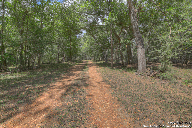 Listing photo id 24 for 2354 Fm 2438