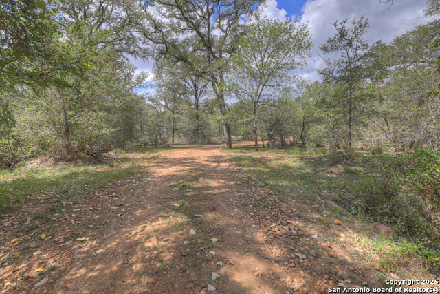 Listing photo id 25 for 2354 Fm 2438