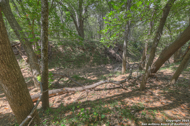 Listing photo id 36 for 2354 Fm 2438