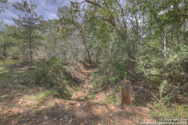 Listing photo id 37 for 2354 Fm 2438