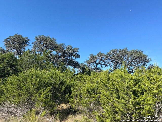 Details for Tbd Fm 2828 , Bandera, TX 78003