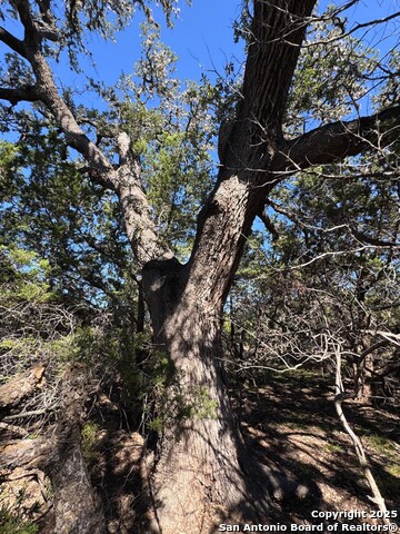 Image 2 of 8 For Tbd Fm 2828