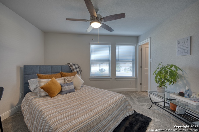 Listing photo id 23 for 2518 Castello