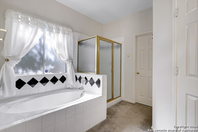 Image 17 of 28 For 4726 Shavano Bark