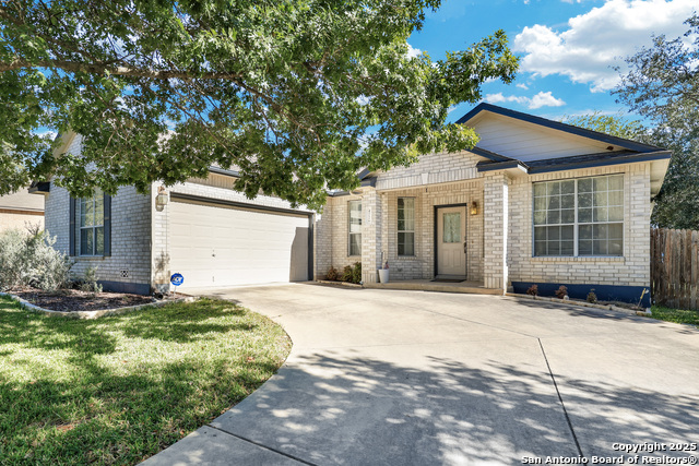 Image 2 of 28 For 4726 Shavano Bark