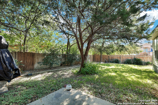 Image 24 of 28 For 4726 Shavano Bark