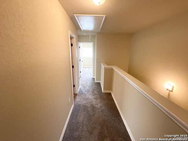 Image 14 of 28 For 16820 Dancing Ava 2