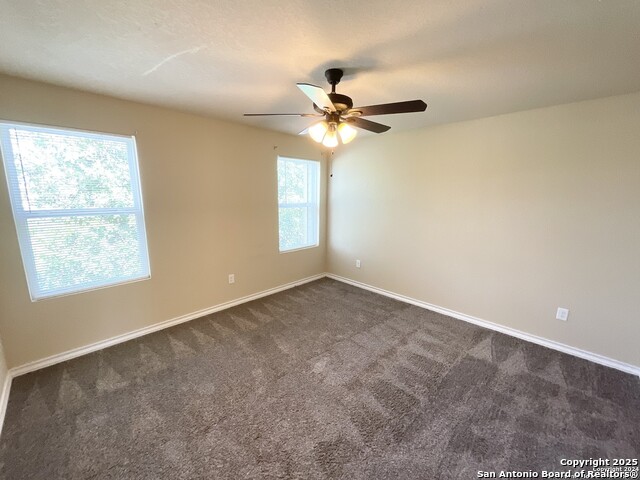 Image 16 of 28 For 16820 Dancing Ava 2