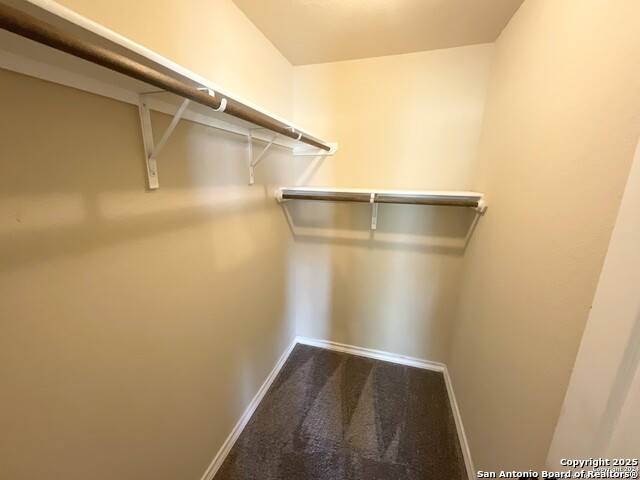 Image 18 of 28 For 16820 Dancing Ava 2