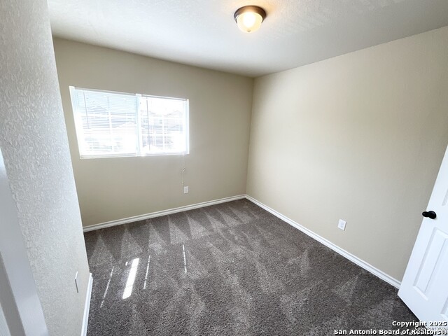 Image 25 of 28 For 16820 Dancing Ava 2